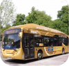 Reading Buses bronze, brown& gold coloured buses